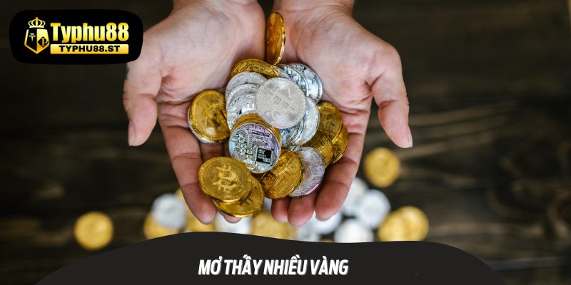 mo thay nhieu vang 1