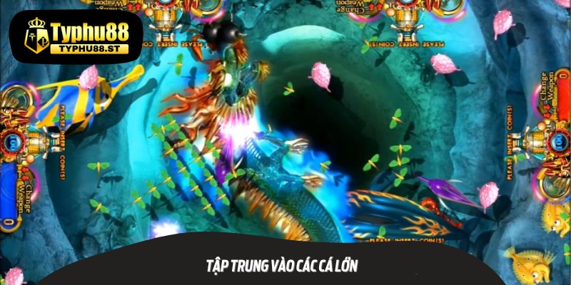 Tập trung vào các cá lớn