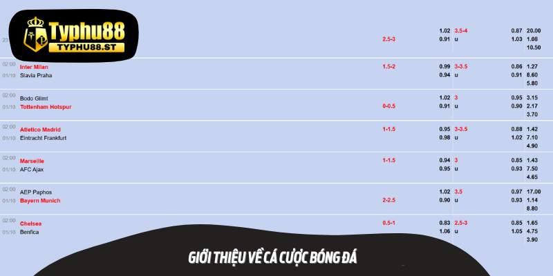 Giới thiệu về cá cược bóng đá