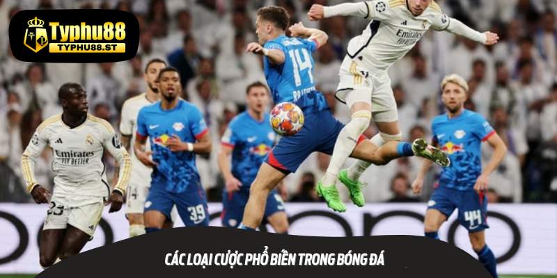 Các loại cược phổ biến trong bóng đá